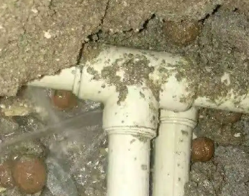 东兴测漏水多少钱